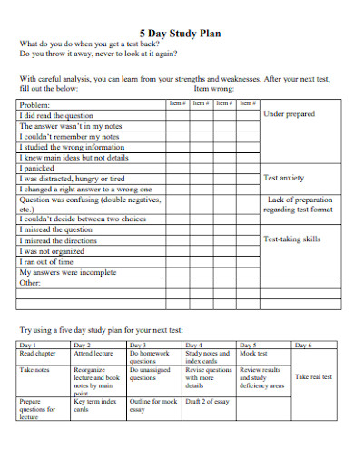 Five Day Study Plan - 10+ Examples, Format, Pdf 