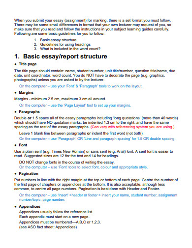 basic short report essay