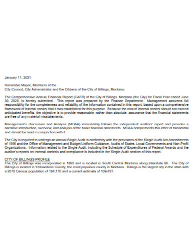 Comprehensive Financial Reporting Sample Comprehensive Annual Financial Report - 5+ Examples, Format, Pdf | Examples