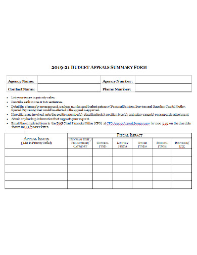 budget summary form