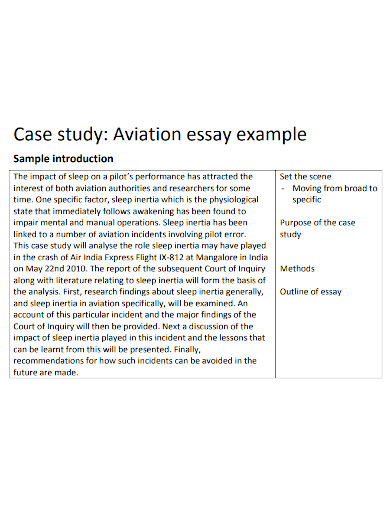 case study aviation essay