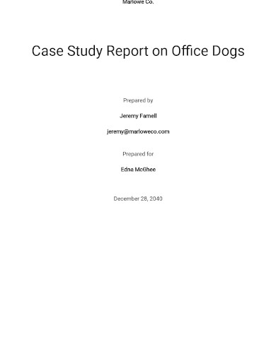 case study report template