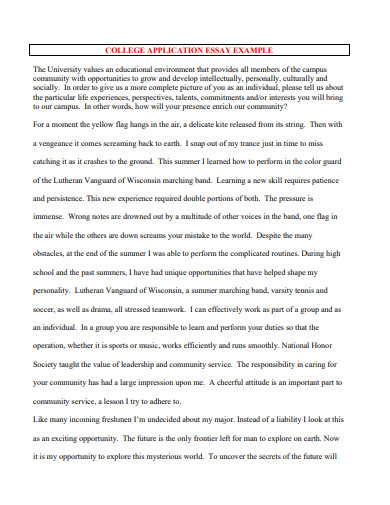 college application essay example