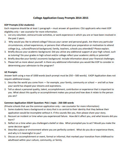 college application essay in pdf