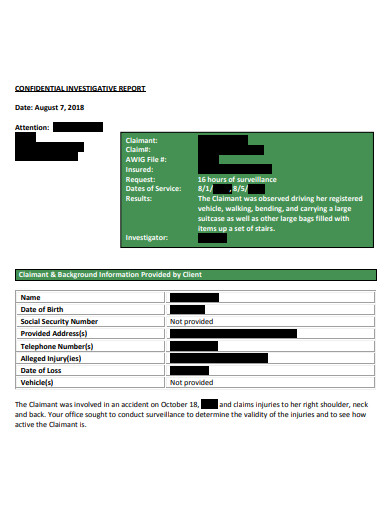 confidential investigation report in pdf