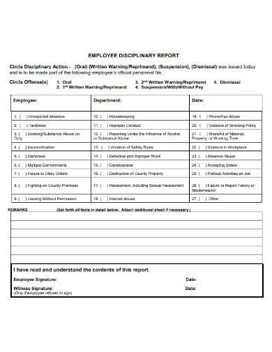 Disciplinary Report 10 Examples Format How To Write Pdf