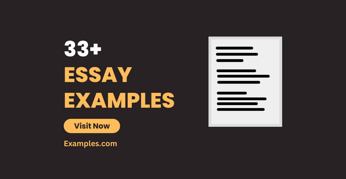 essay examples