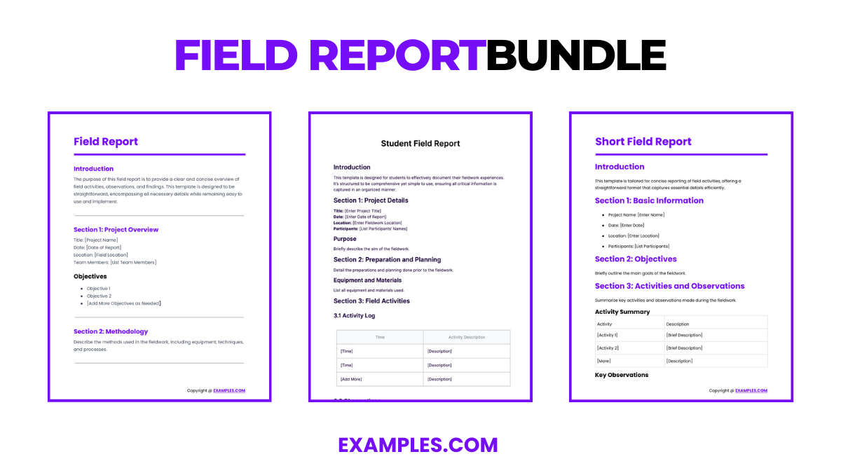 Field Report Bundle