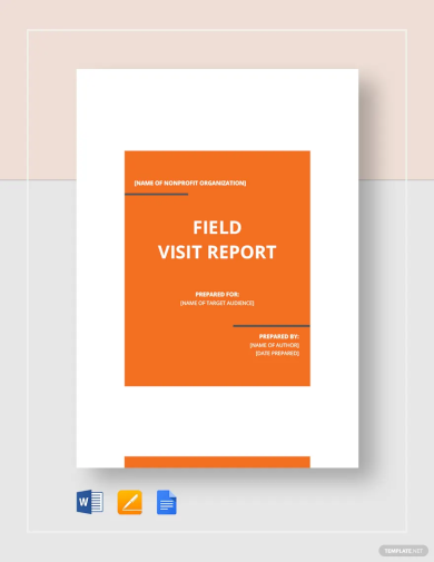 Field Visit Report Template