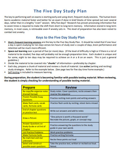 five-day-study-plan-10-examples-format-pdf-examples