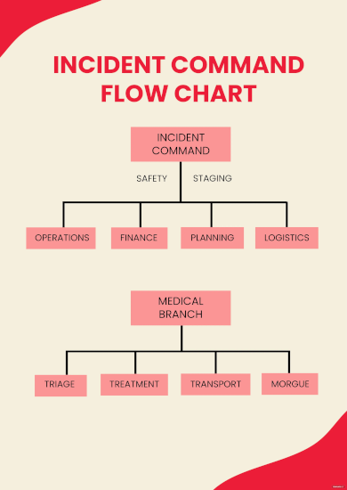 Free Incident Command Flow Chart