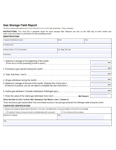 gas storage field report