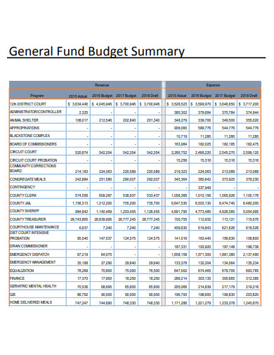 general fund budget summary
