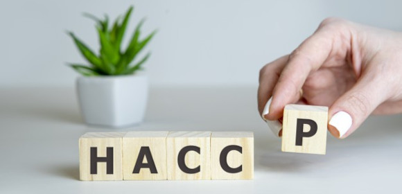 HACCP Principles & Plans template