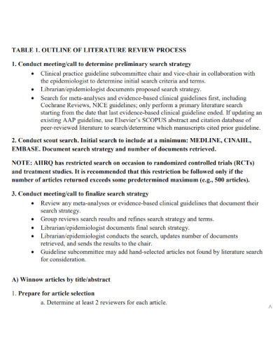 individual literature review outline