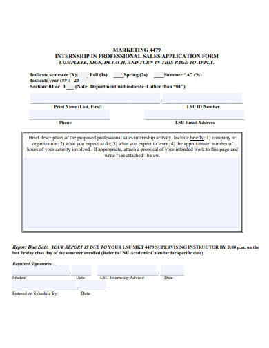 internship report form in pdf