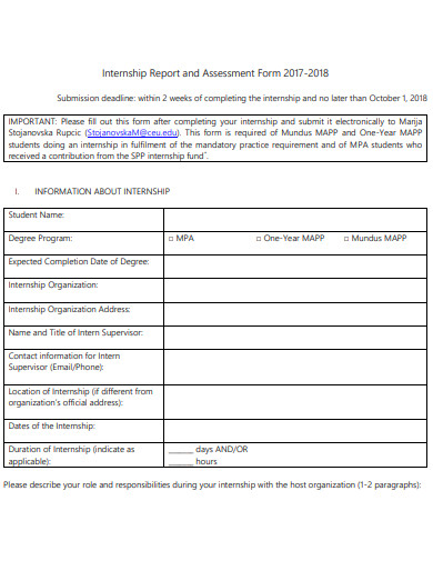 internship report and assessment form
