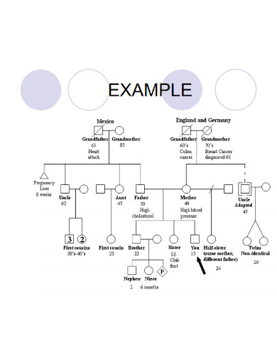 large family tree examples