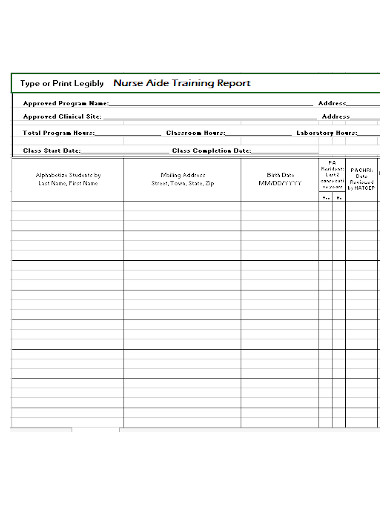nursing training report sheet