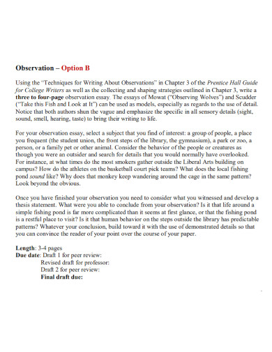 Observation Essay Template
