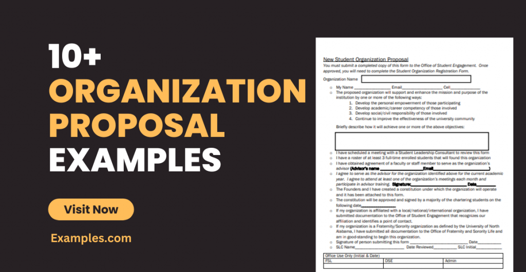 Organization Proposal Examples