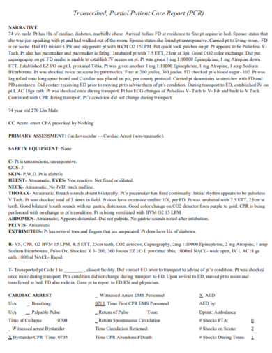 Patient Care Report 10 Examples Format Pdf Examples