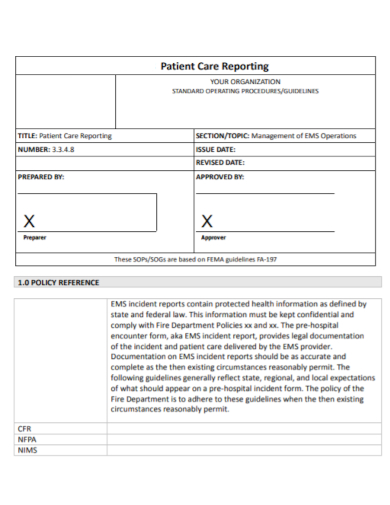 patient care reporting