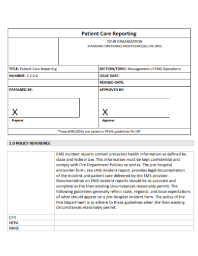 Patient Care Report 10 Examples Format Pdf Examples