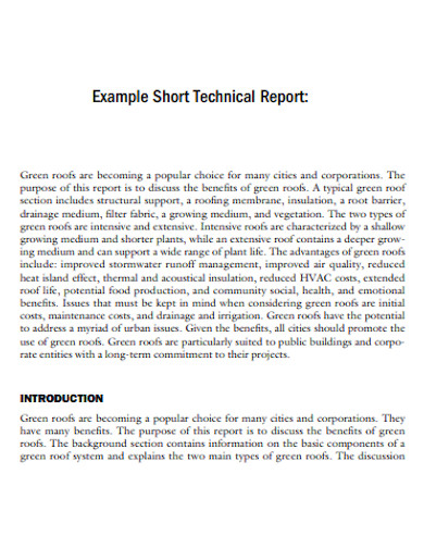 Printable Short Technical Report