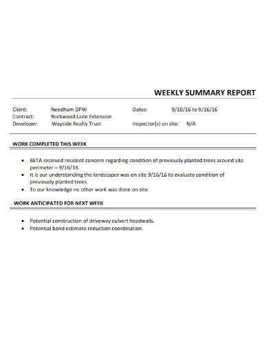 printable weekly summary report