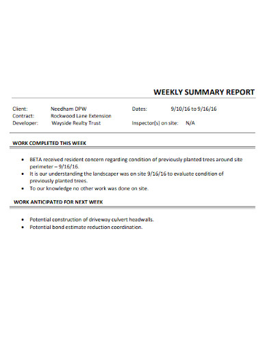 Weekly Summary Report 10 Examples Format Pdf Examples