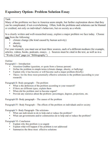 problem solving assignment essay