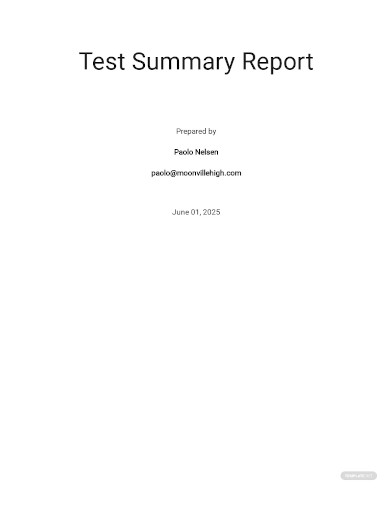 professional test summary report