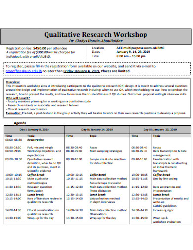 qualitative research capsule example