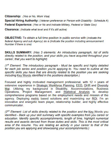 resume skills summary format