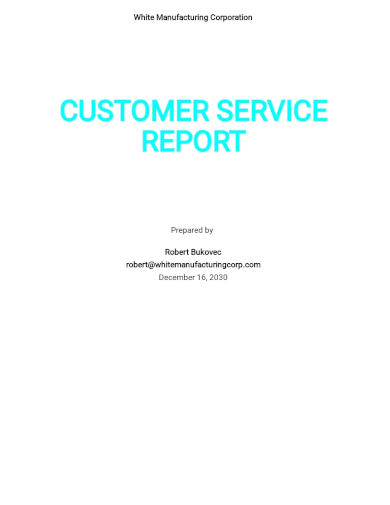 Customer Service Report - 12+ Examples, Format, Pdf | Examples