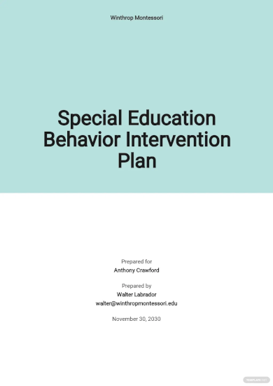 special education behavior intervention plan template