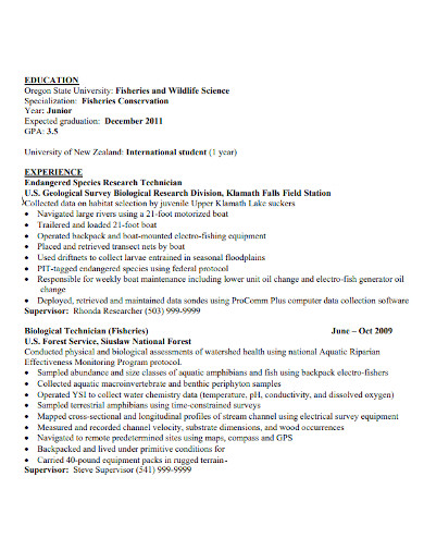 student resume opening statement