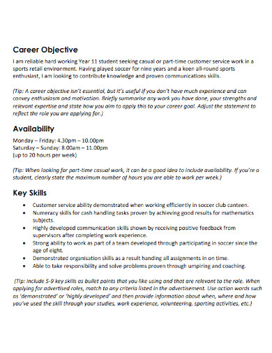student resume skills summary