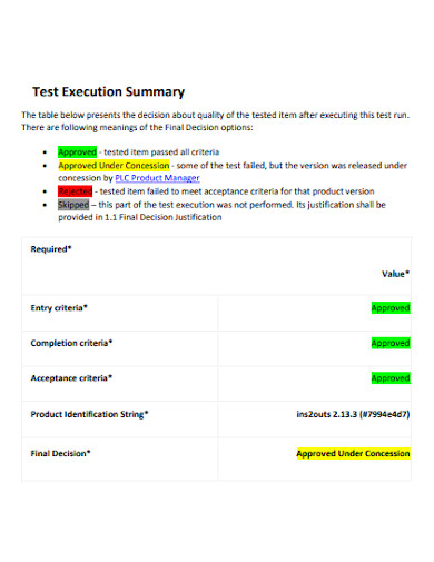 test execution summary report