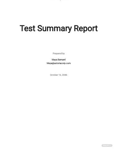 Test Summary Report 9 Examples Format How To Create PDF