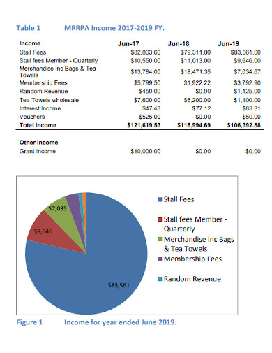 treasurer income report
