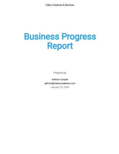 busines progress report template