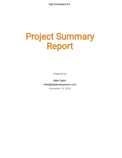 project summary report