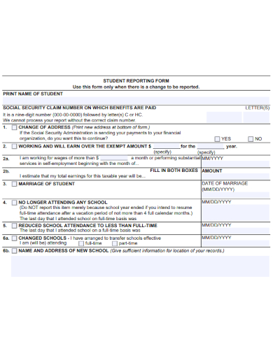 student reporting form example