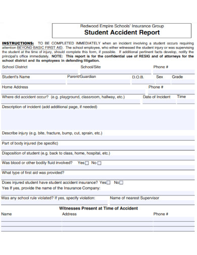 basic student accident report