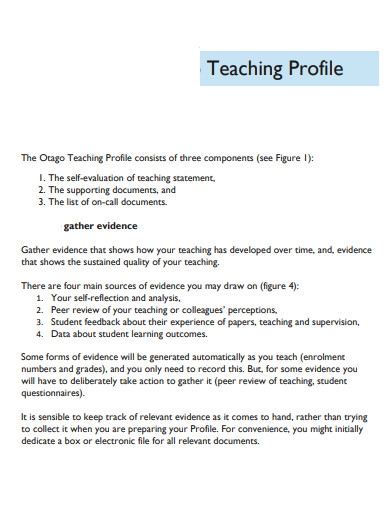 Basic Teaching Profile Statement
