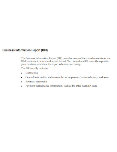 business information report template