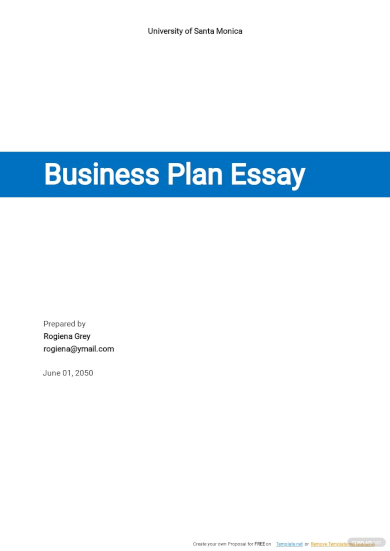 business plan essay template