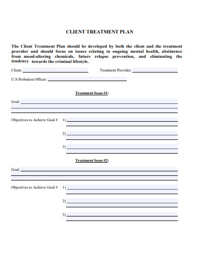Client Treatment Plan 10  Examples Format How to Construct Pdf